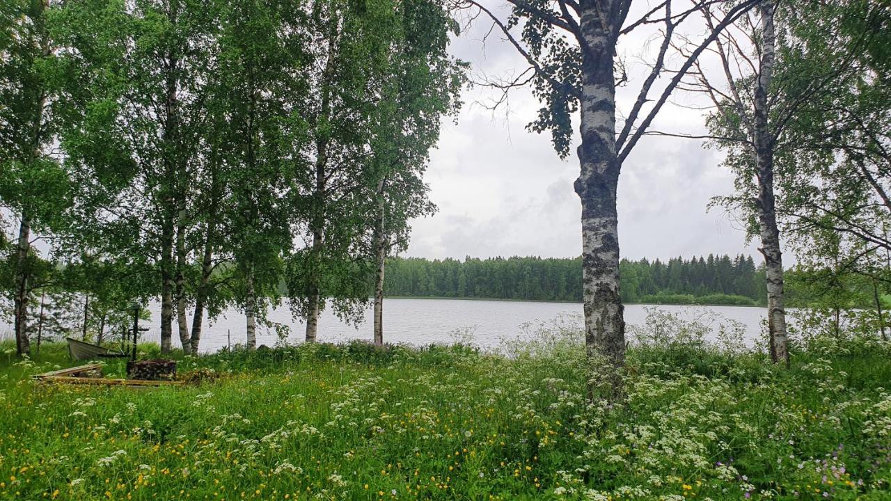 Viihtyisae Kolmio Jaerven Rannalla Haapavesi ภายนอก รูปภาพ