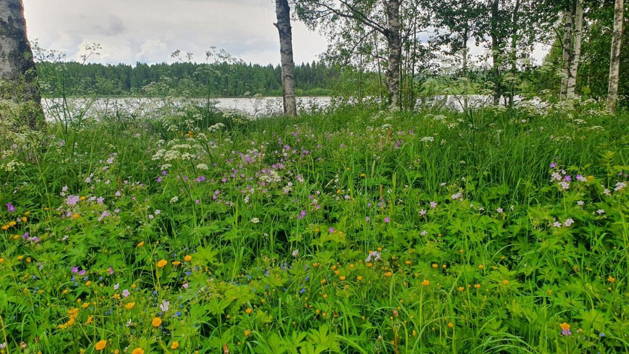Viihtyisae Kolmio Jaerven Rannalla Haapavesi ภายนอก รูปภาพ